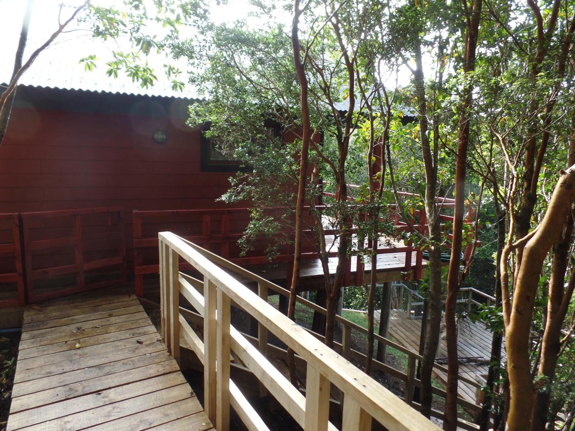 Parque Natural Rio Bravo Lodge 카스트로 외부 사진